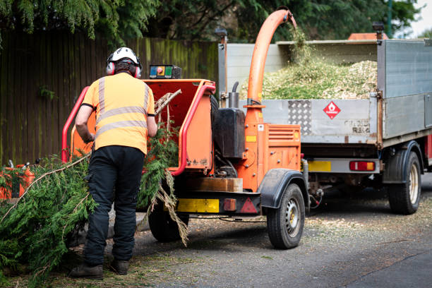 Mulching Services in Uhrichsville, OH