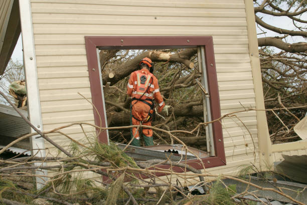 Trusted Uhrichsville, OH Tree Removal Experts